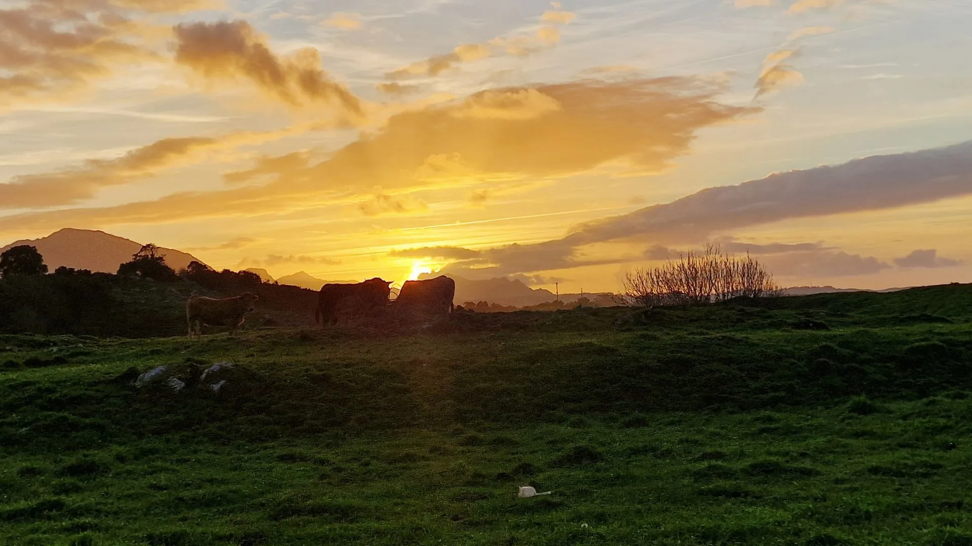 Atardecer en Asturias